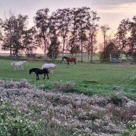 Вилла Js Feriendomizile Haus Abendrot Хассельфельде Экстерьер фото